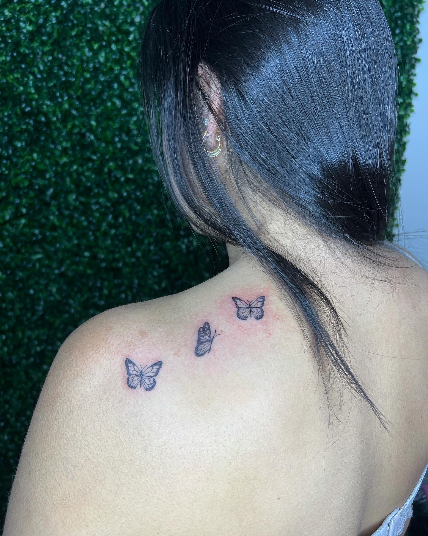 Tiny Butterflies In A Row