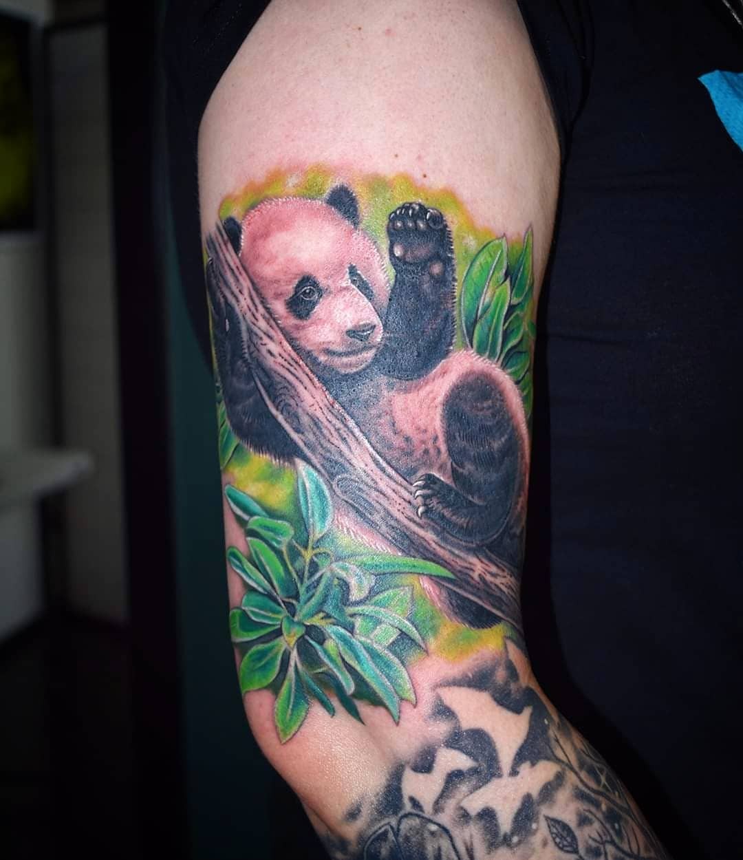 Sleeping Panda Tattoo