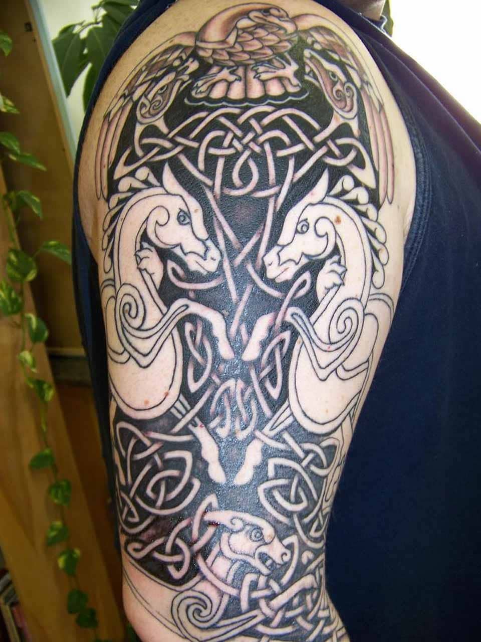 Celtic Dragon Tattoo Designs Over Shoulder & Arm