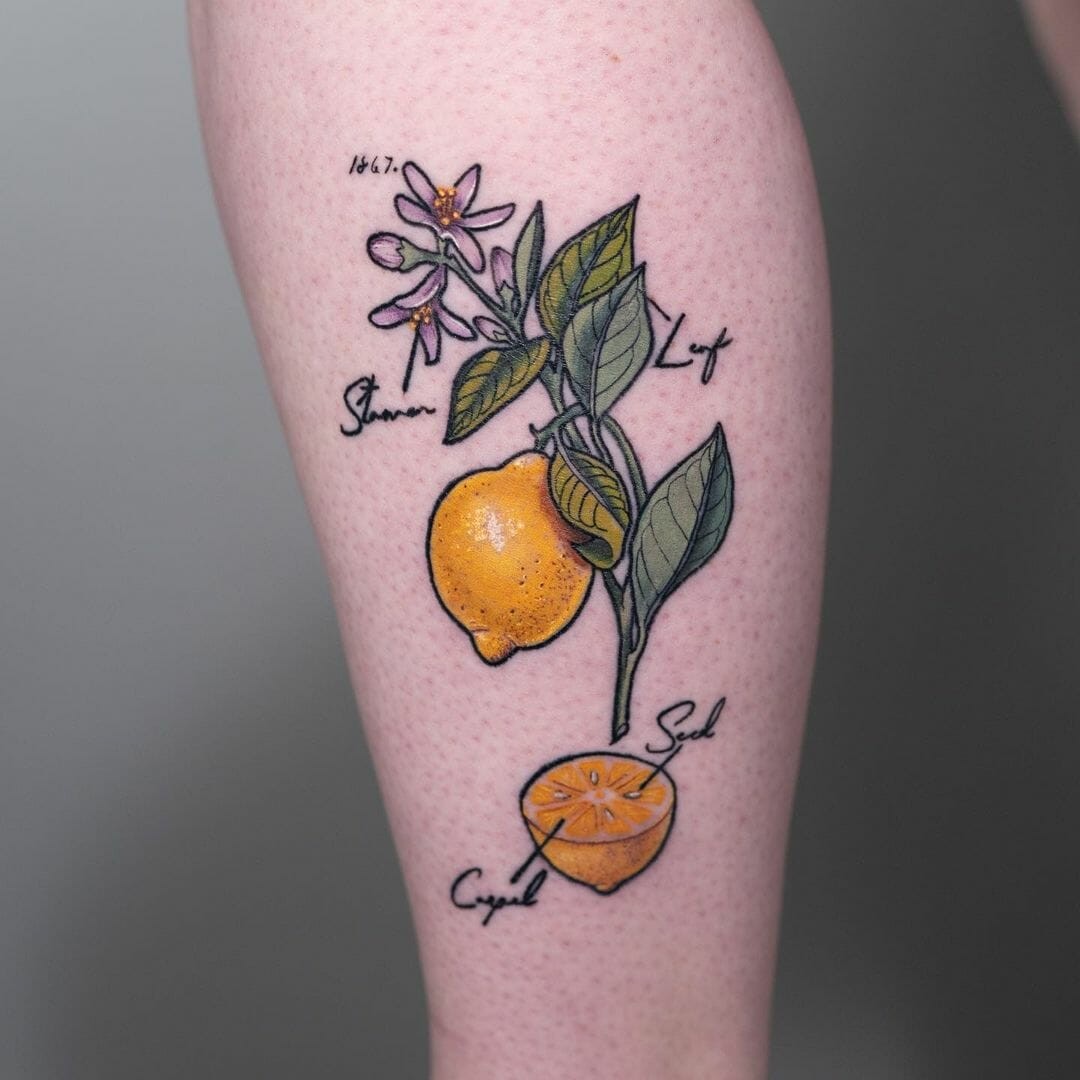 Anatomical Lemon And Lemon Slice Tattoo