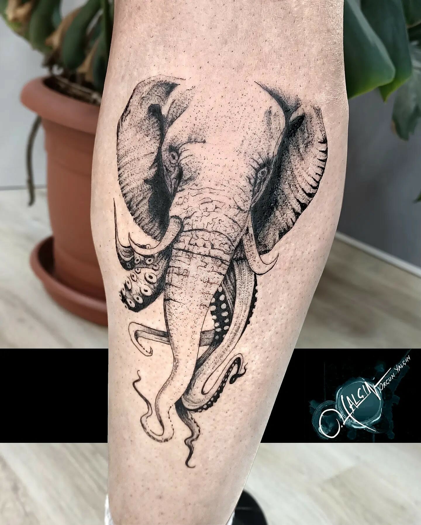 Elephant Octopus Tattoo