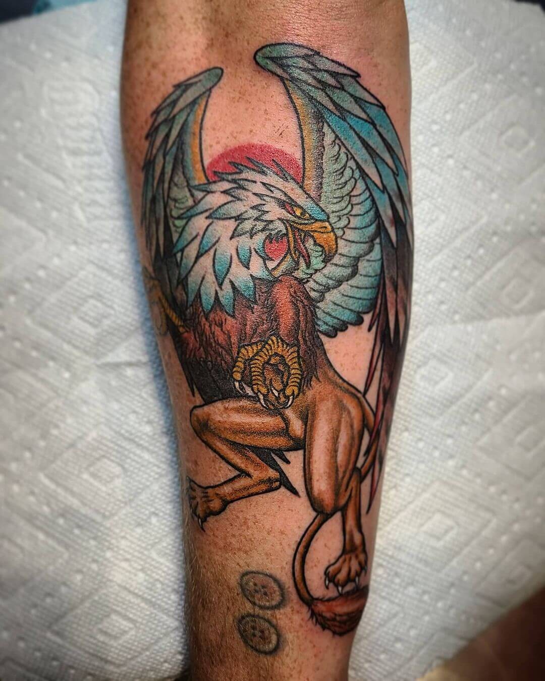 Unique Gryphon Tattoo Bright Tattoo Design