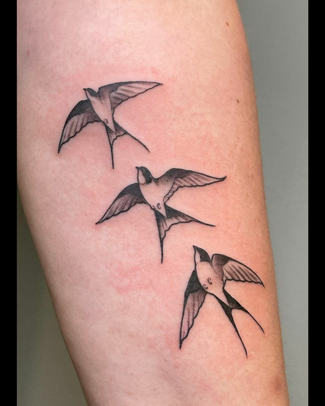 Soaring Swallow Tattoo