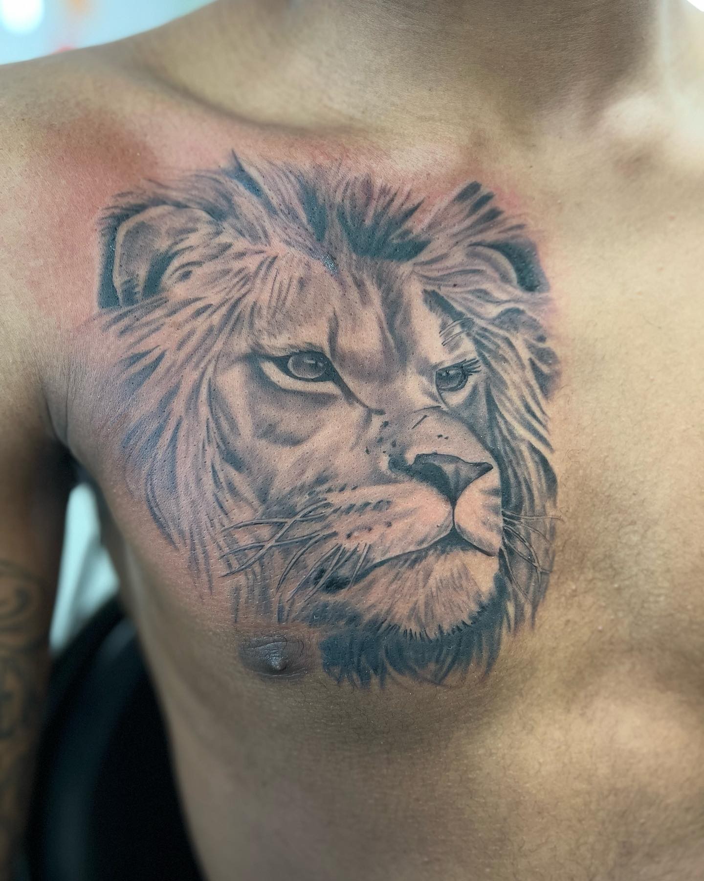 Simple Lion Chest Tattoo For Men