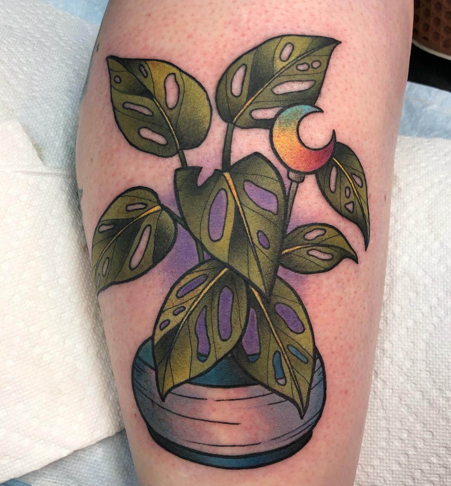 Colorful House Plants Tattoo