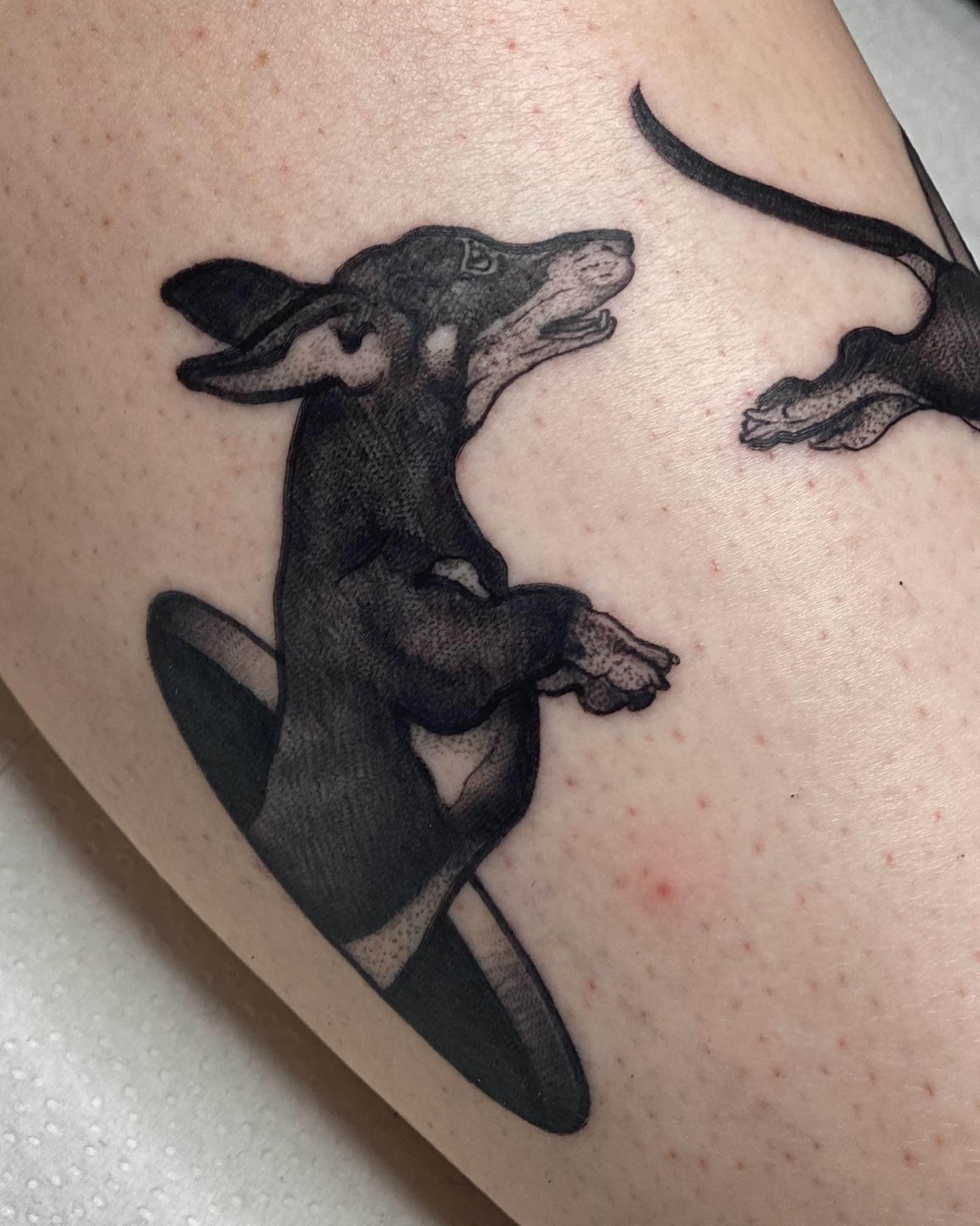 Black Graphic Dachshund Tattoo With Black Hole