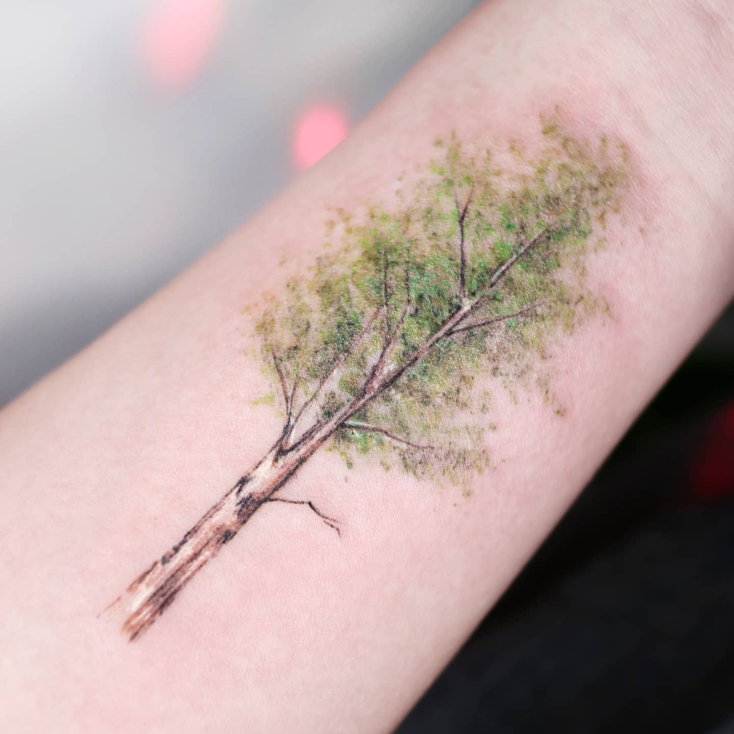 Amazing Birch Tree Tattoo Ideas For People Starting New Adventures