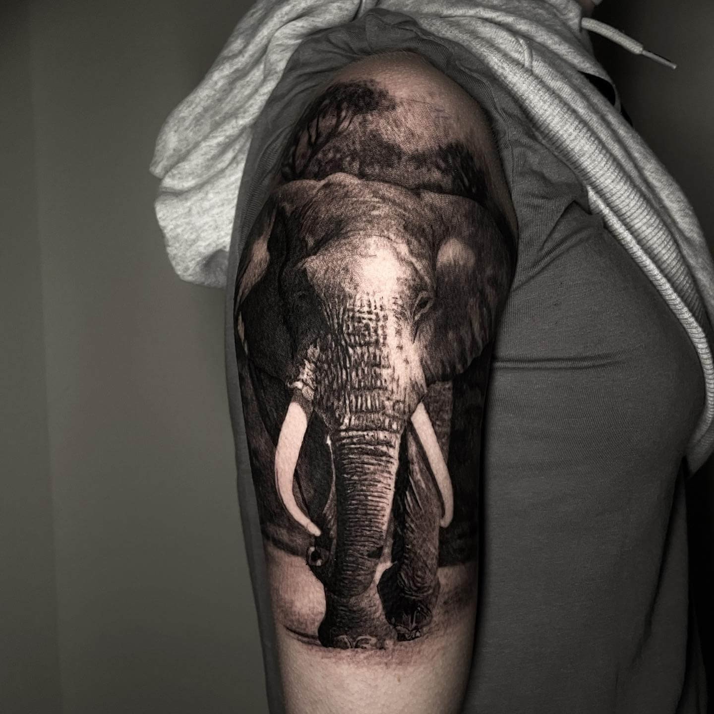 Elephant Tattoo Design