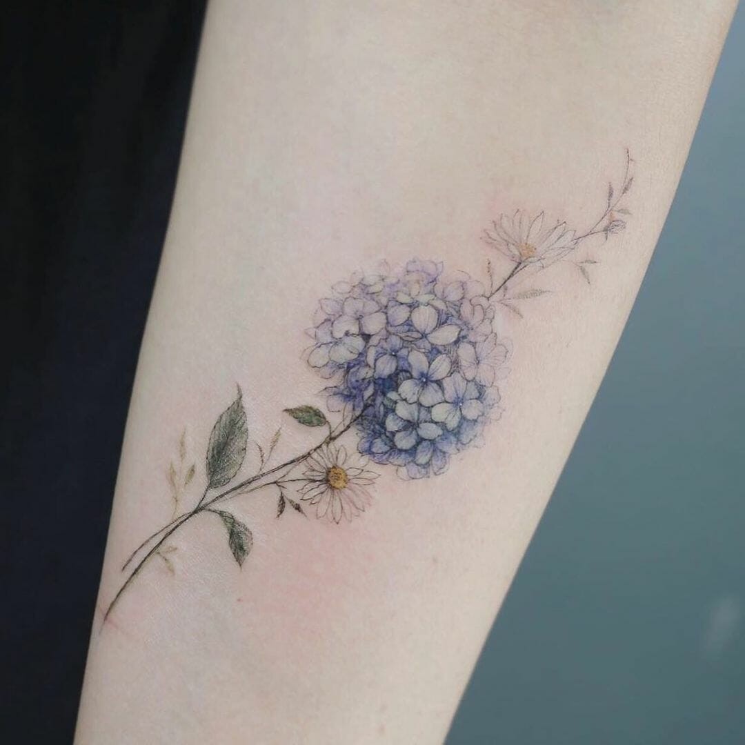 Purple Hydrangea With White Aster