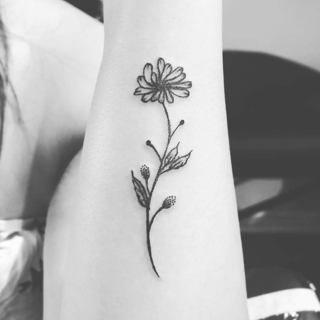 Simple Aster Flower Tattoo