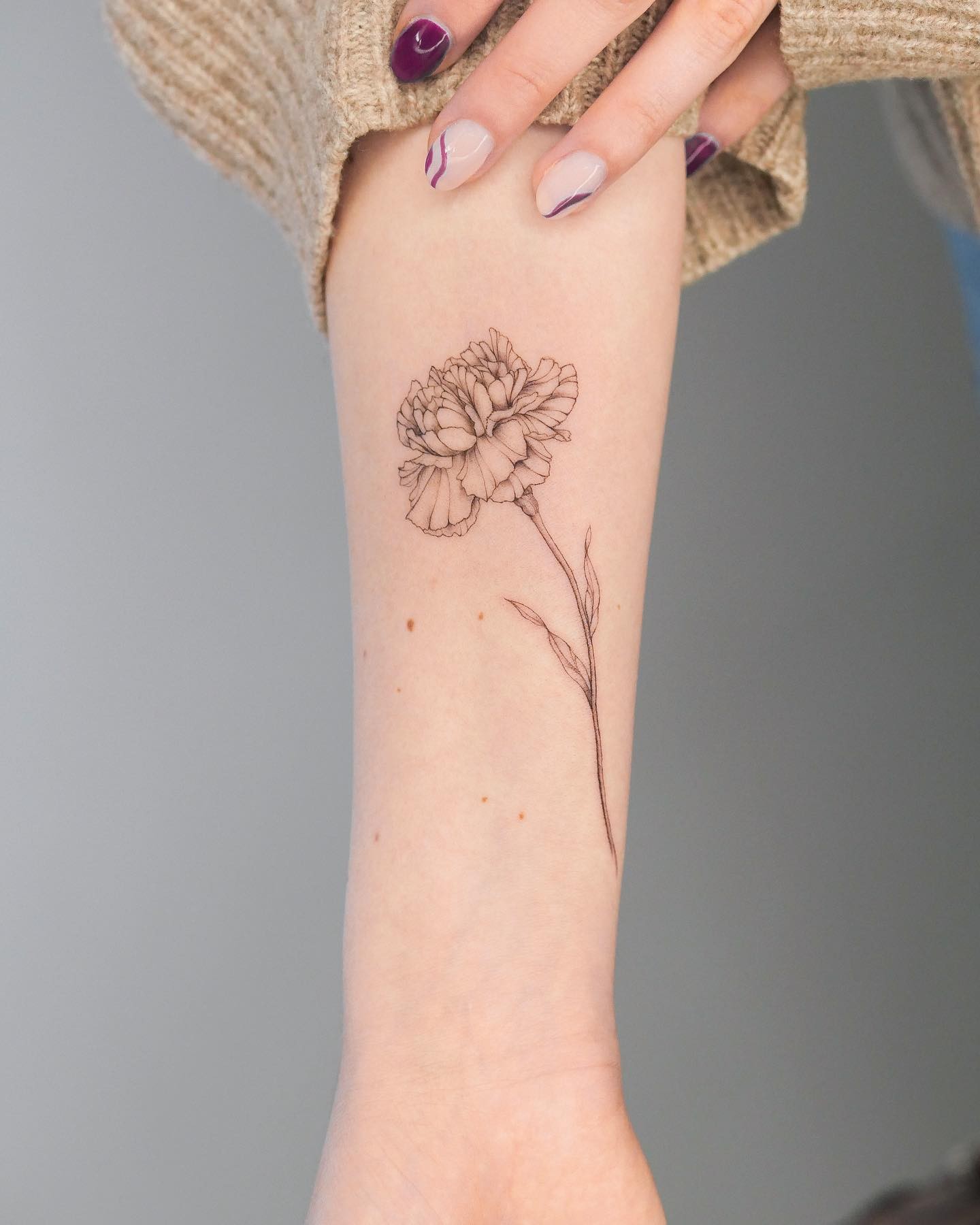 Pretty Carnation Flower Outline Tattoo Ideas