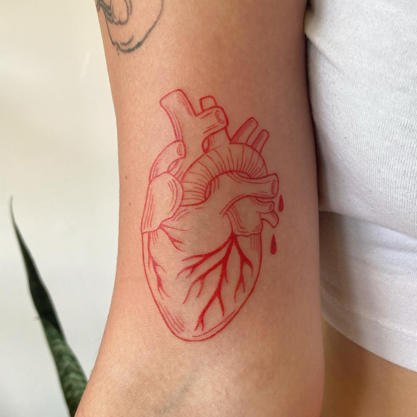 Heart Tattoo