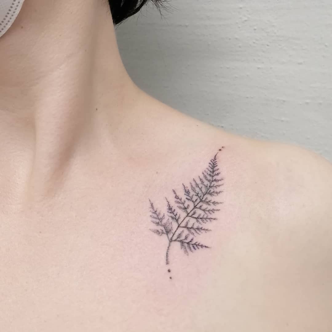 Minimal And Stunning Fern Tattoo Designs