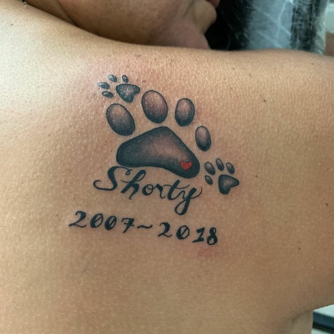 Lovely Memorial Tattoo Ideas For Your Pet