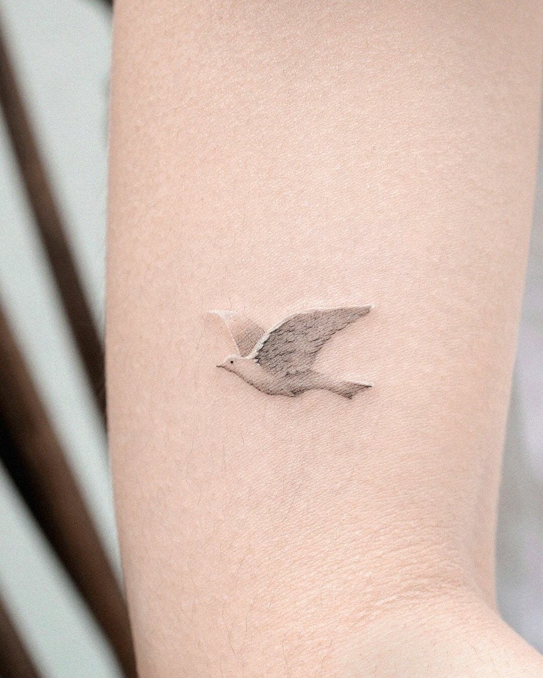 Graceful Dove Tattoos To Symbolize Aphrodite