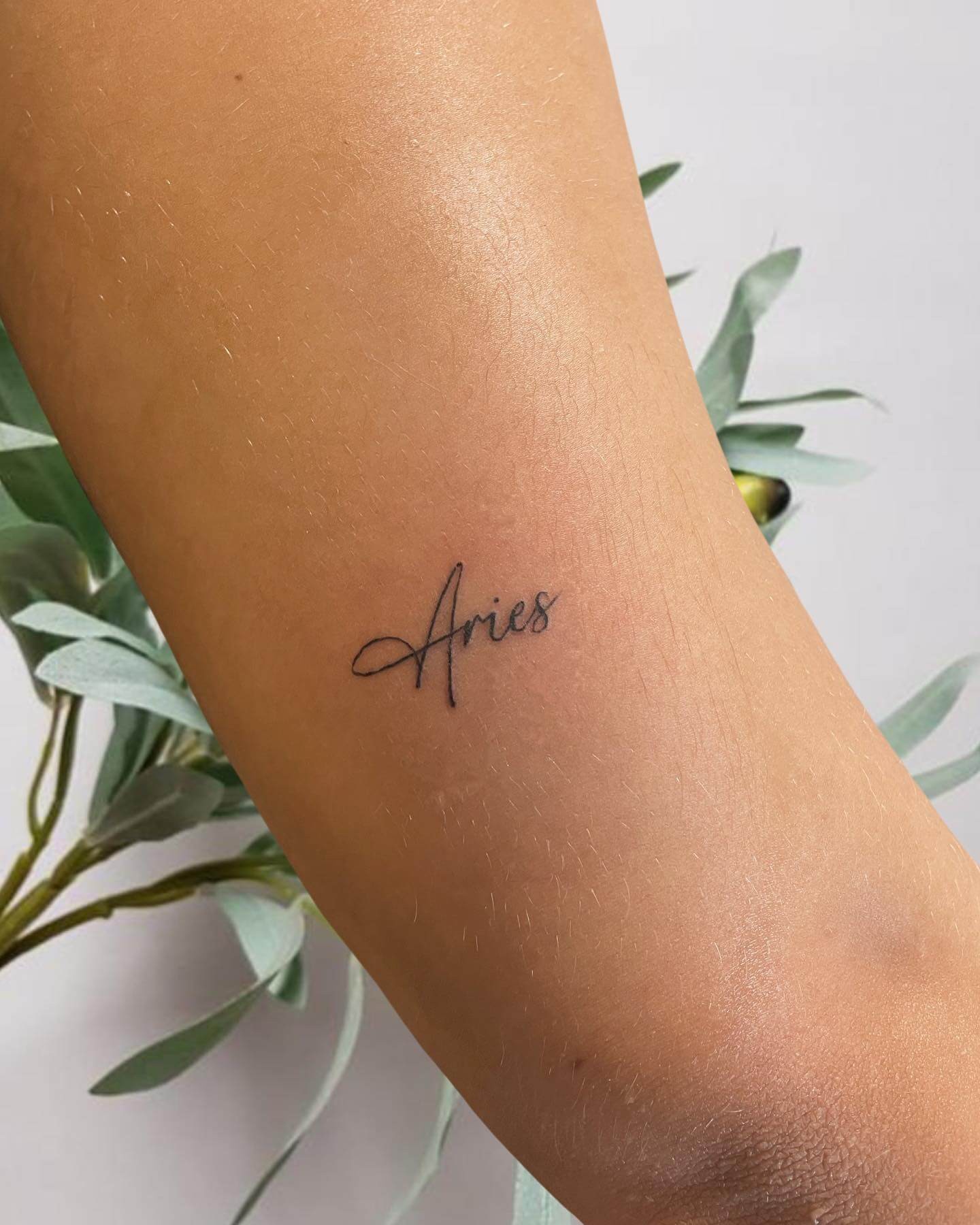 Aries Lettering Tattoo Designs