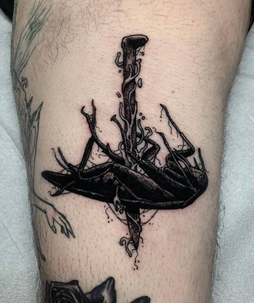 Nailed Cockroach Tattoo