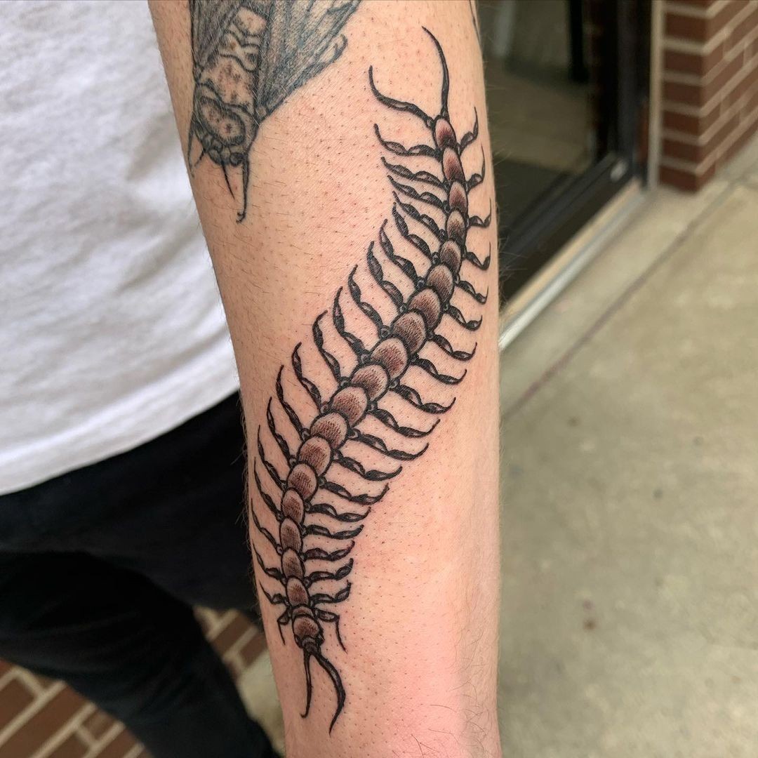 Traditional Centipede Tattoo