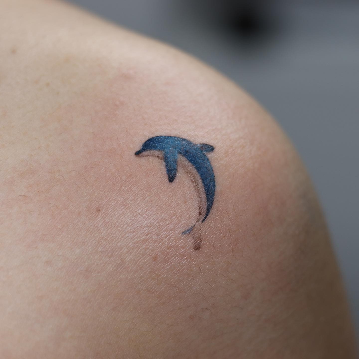 Colored Dolphin Tattoo