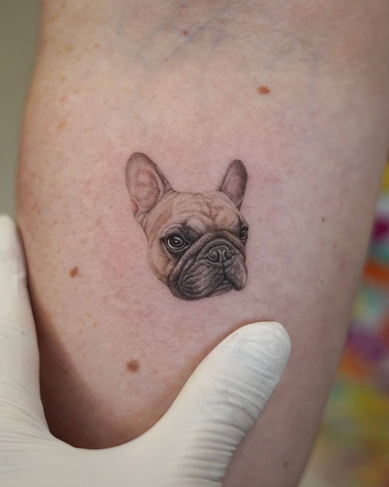 The “Bulldog Tattoo” Design