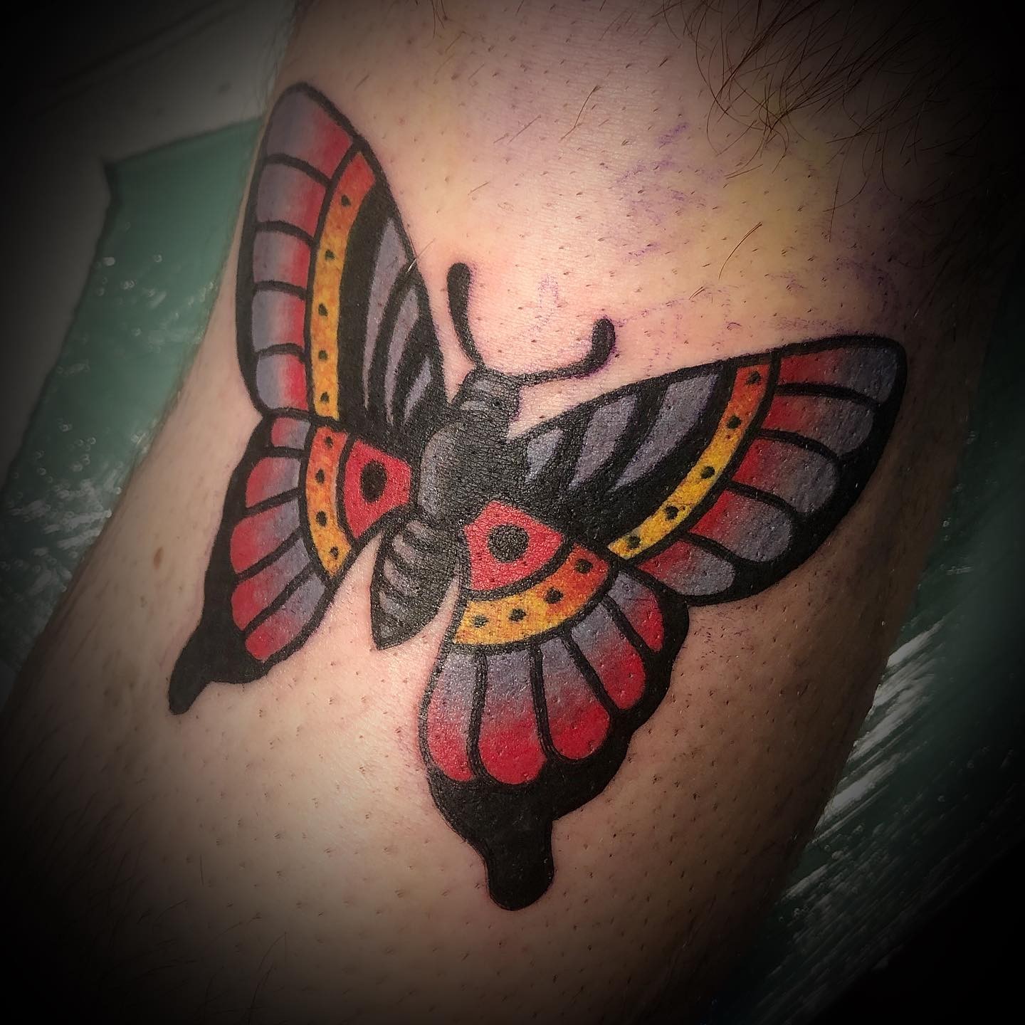 Traditional Butterfly Tattoo