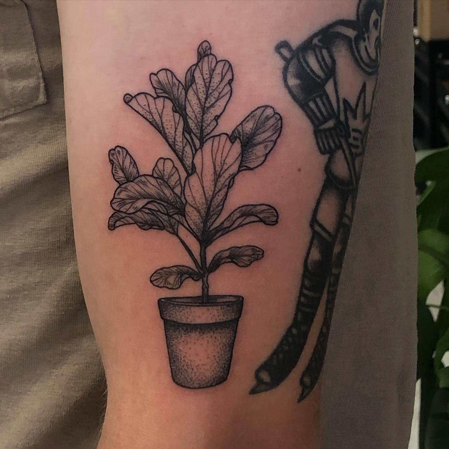 Houseplant Tattoo Sleeve