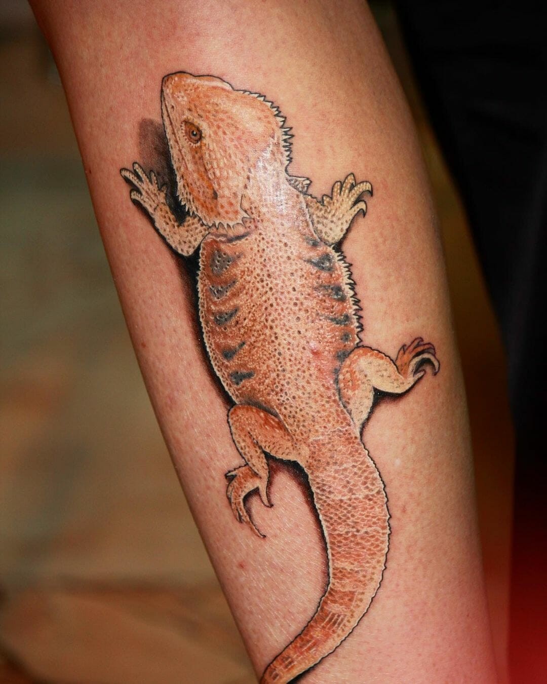 3D Bearded Dragon Tattoo Designs