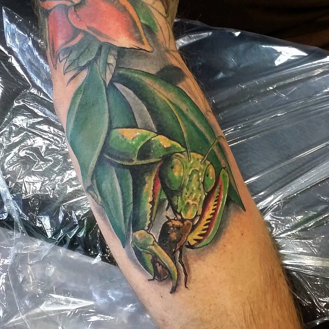 Feeding Praying Mantis Tattoo