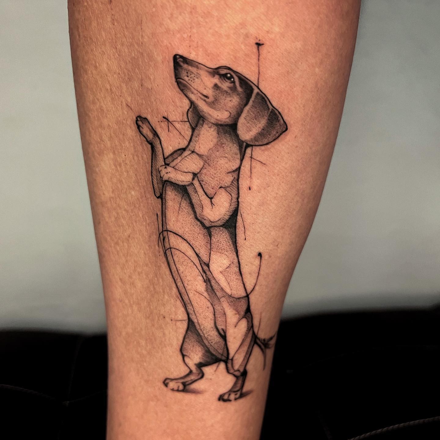 Gorgeous And Captivating Dachshund Tattoo