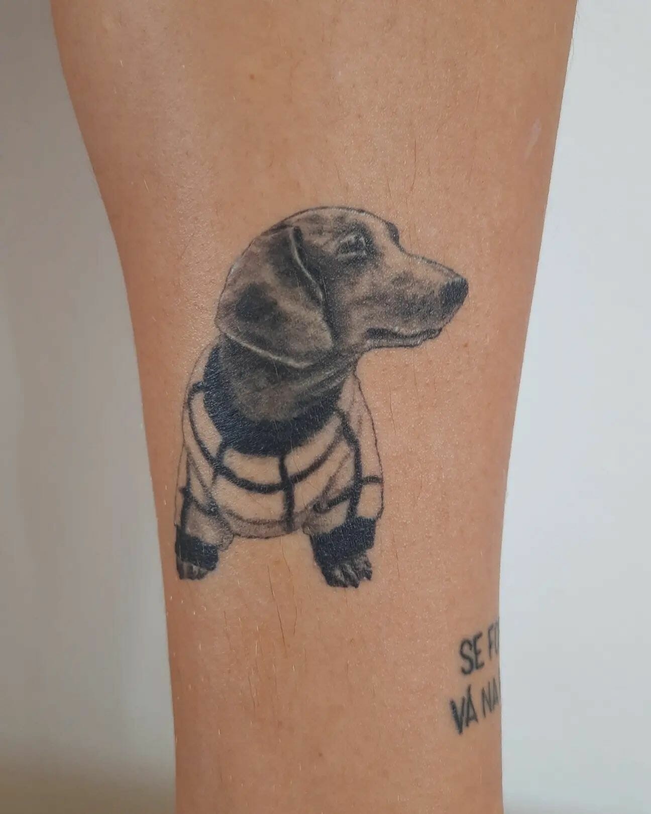 Charming And Authentic Dachshund Tattoo