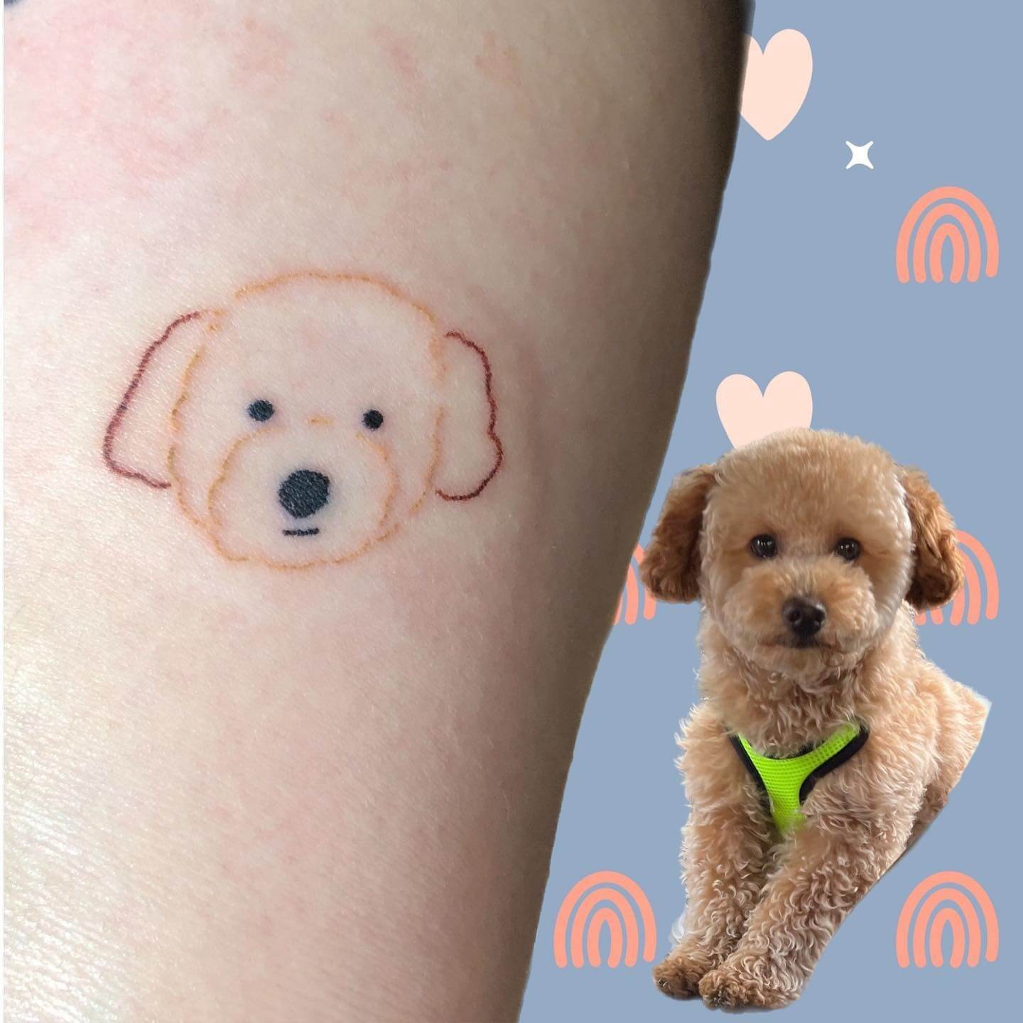 Realistic Poodle Tattoo Outline