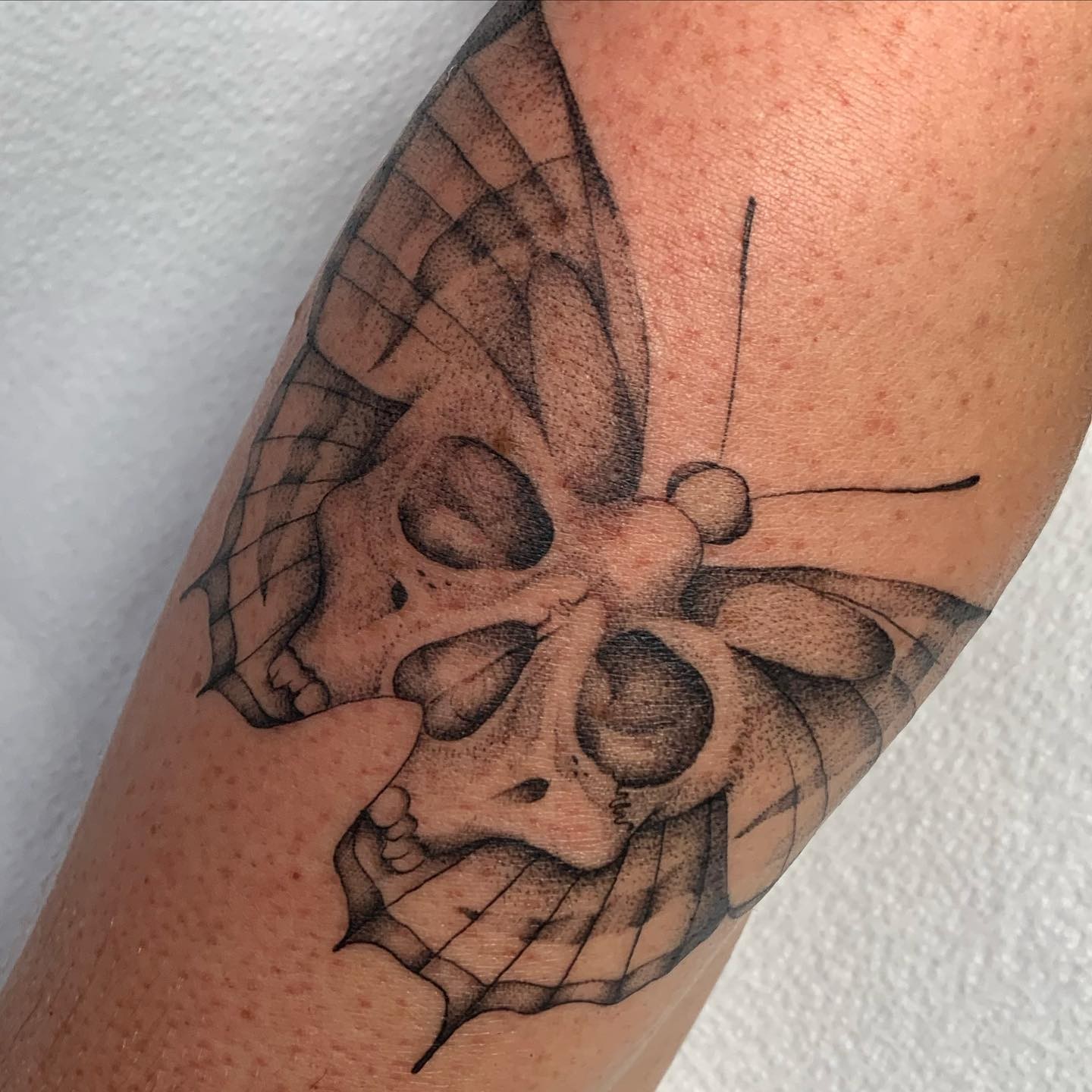 Black and Grey Butterfly Skull Tattoo