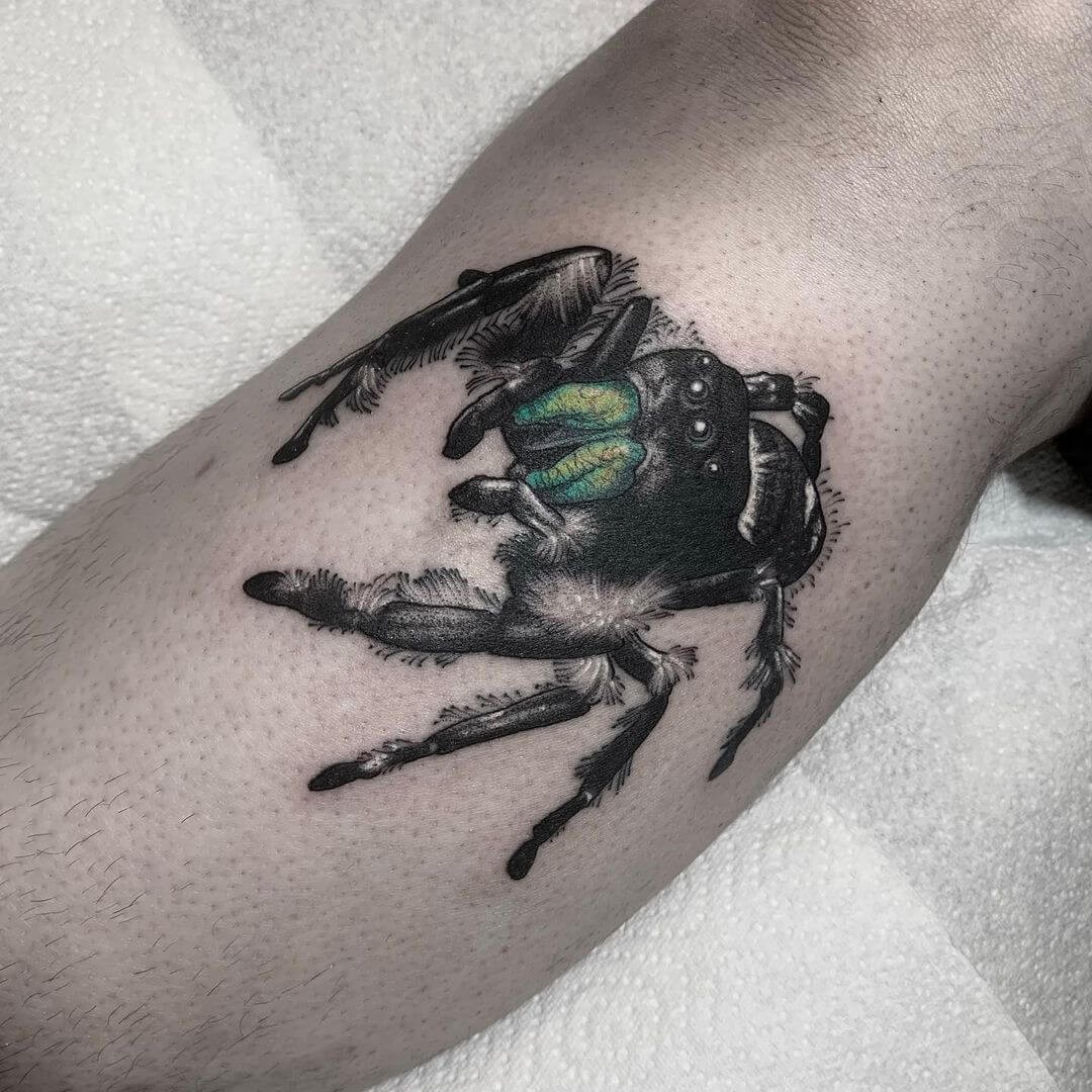 Black Widow Spider Tattoo