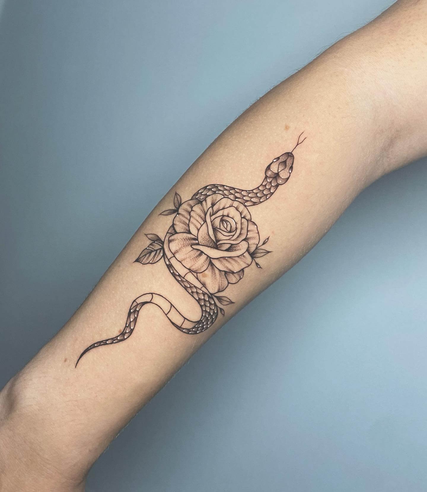 Artistic Fine Line Inked Snake New Rose Tattoo