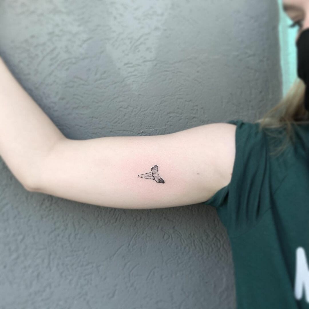 Small Shark Tooth Tattoo Designs