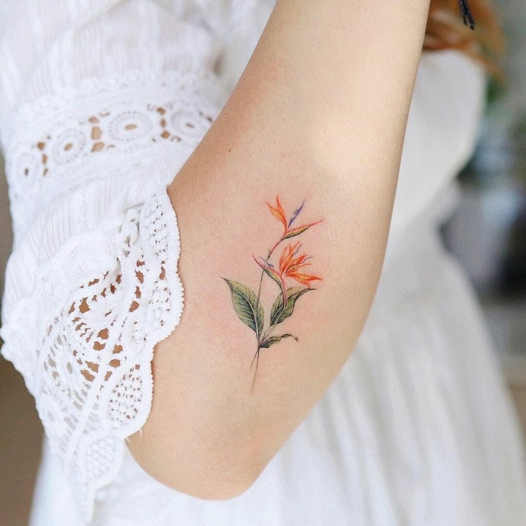 Bird Of Paradise Flower Tattoo