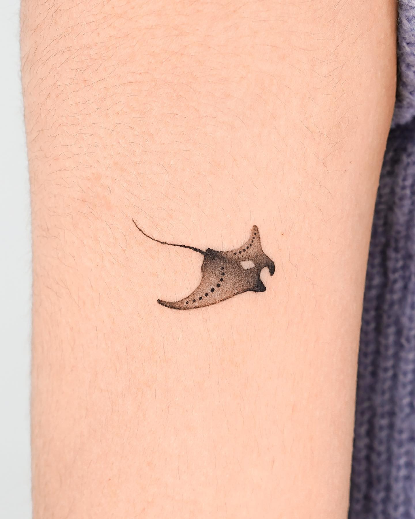 Tiny And Cute Stingray Tattoo Design