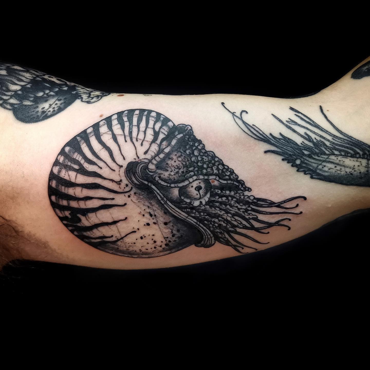 Nautilus 3D Tattoo