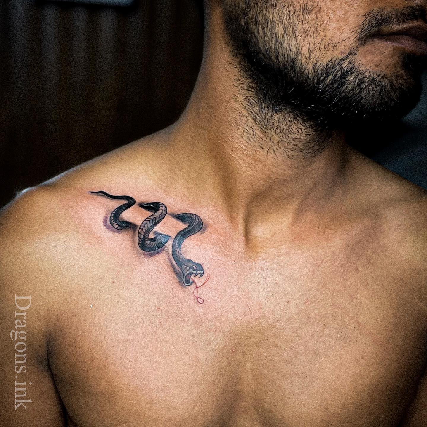 Popular Black Inked Snake Collarbone Tattoo