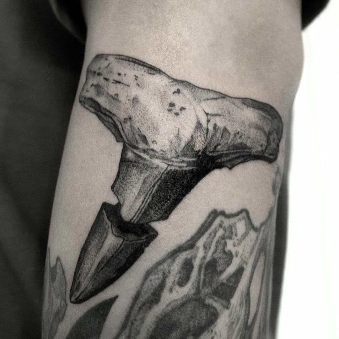 Shark Tooth Fossilised Tattoo