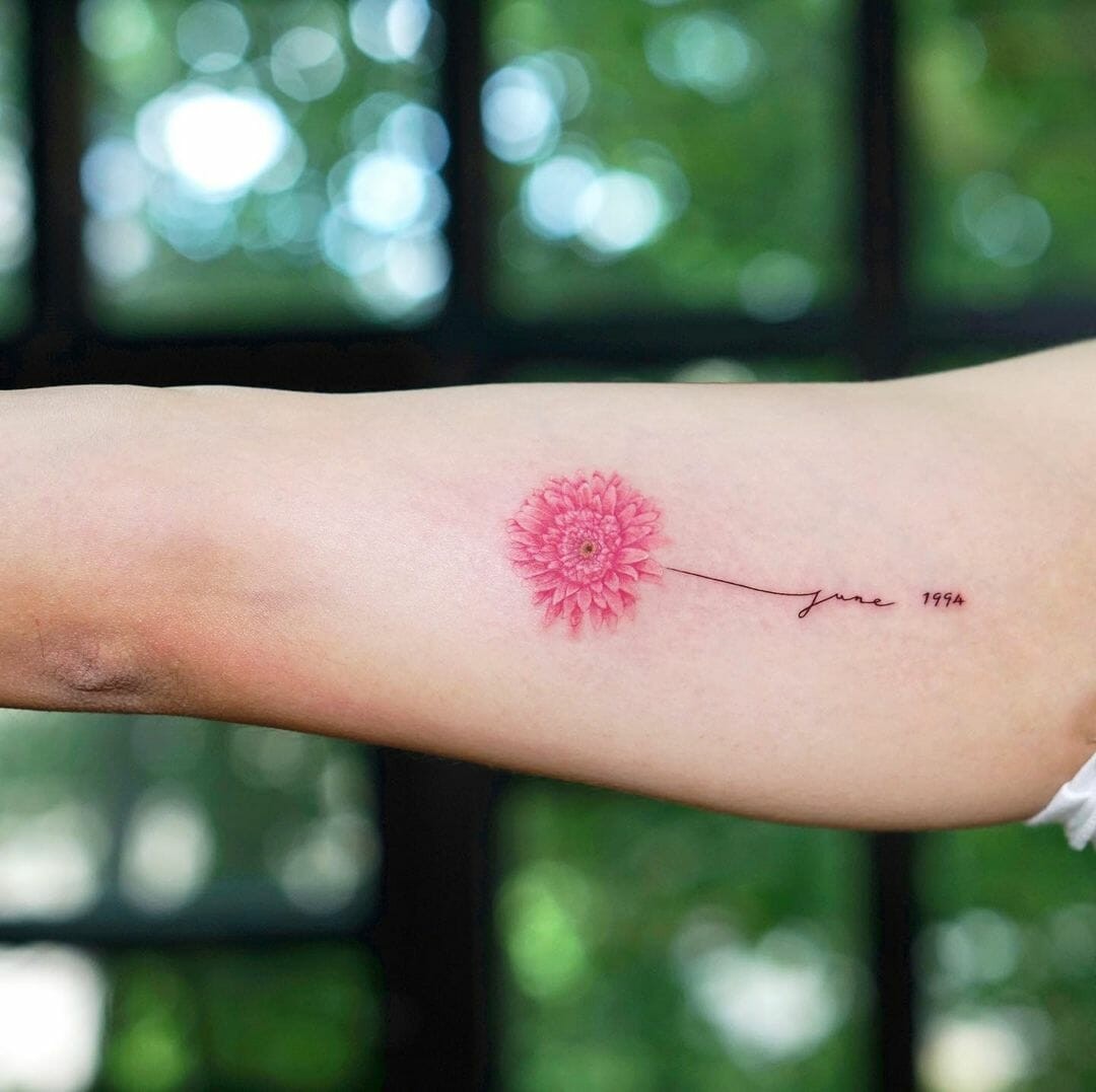 The Gerbera Daisy Tattoo Of Elegance