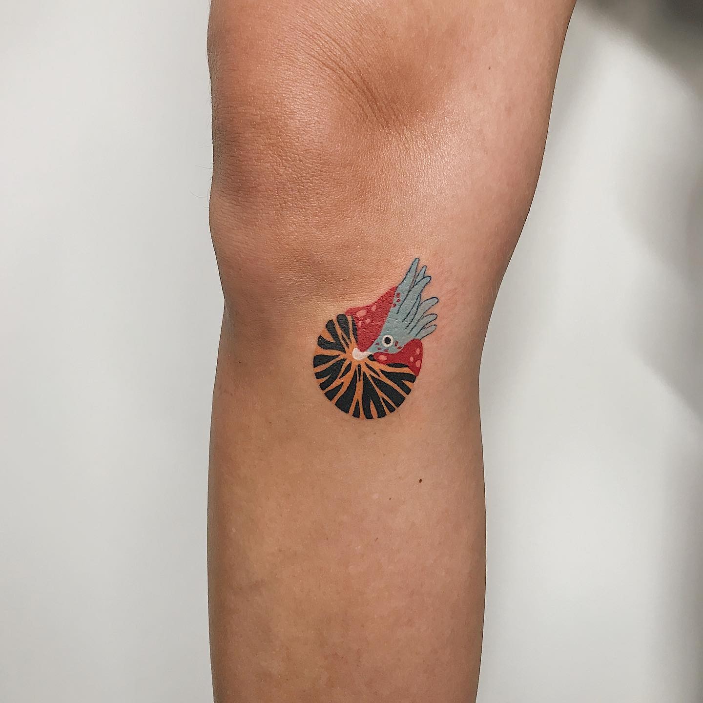 Miniature Nautilus Tattoo