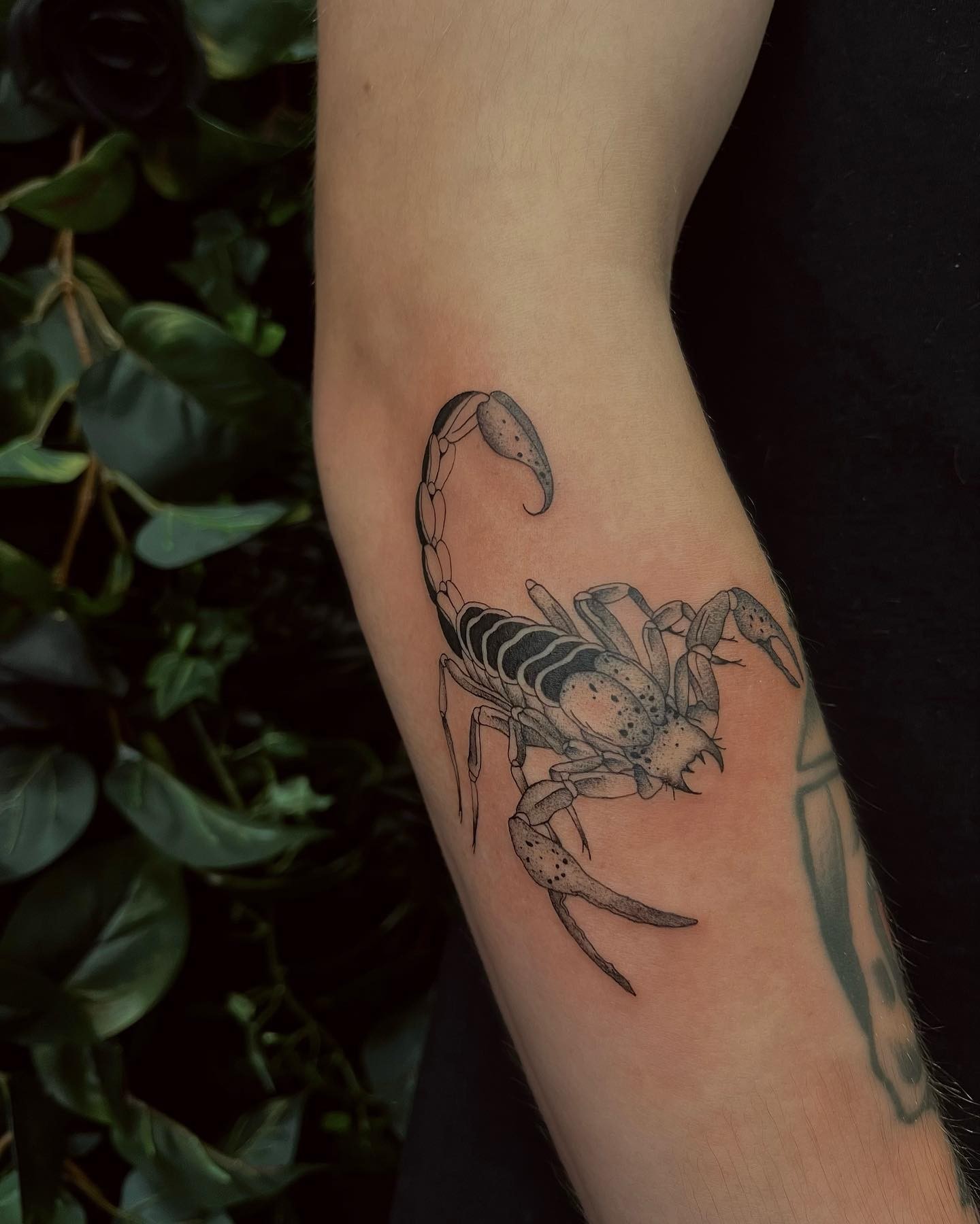 Scorpion Hand Tattoo