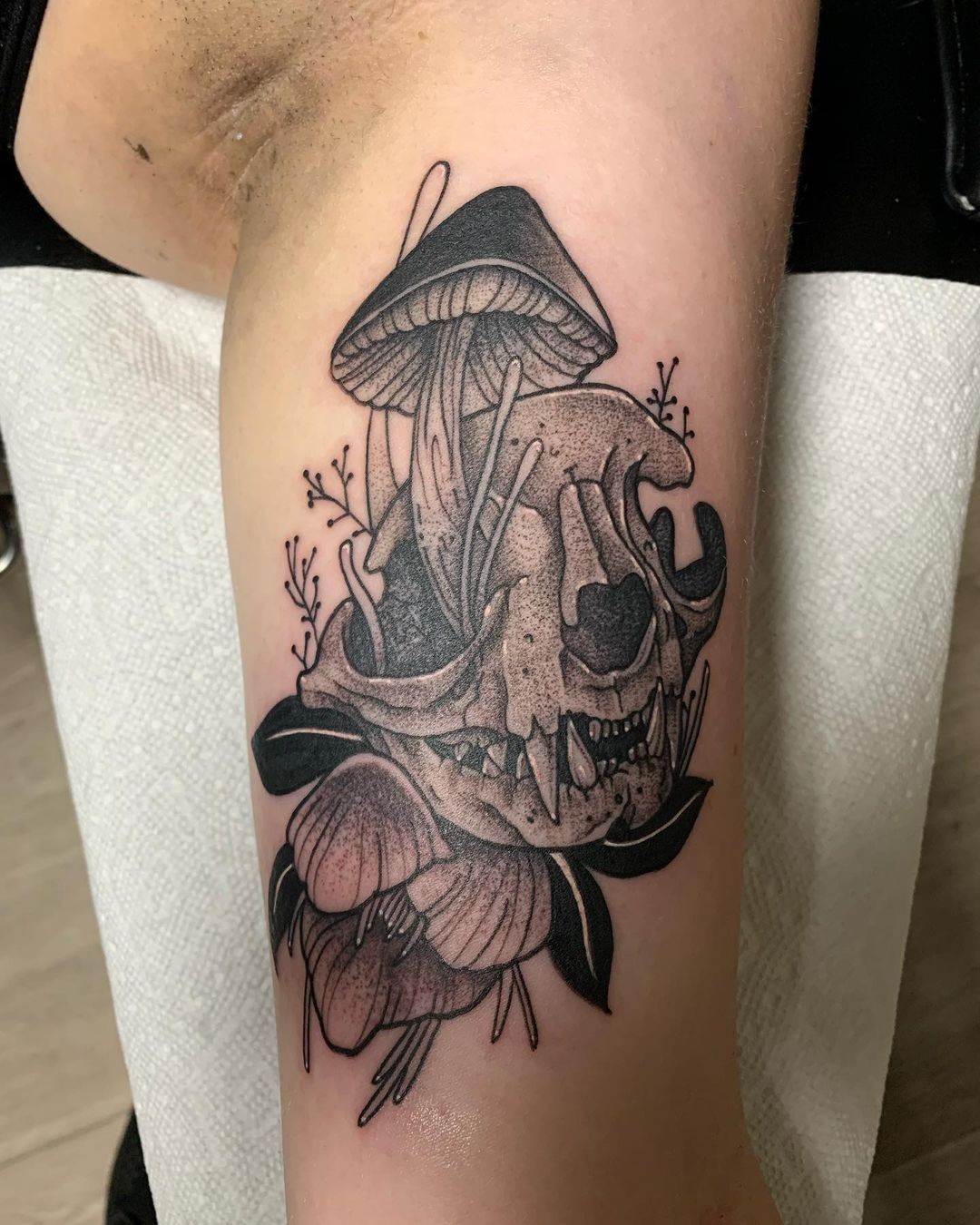 Cat Skull With Mushroom Tattoo