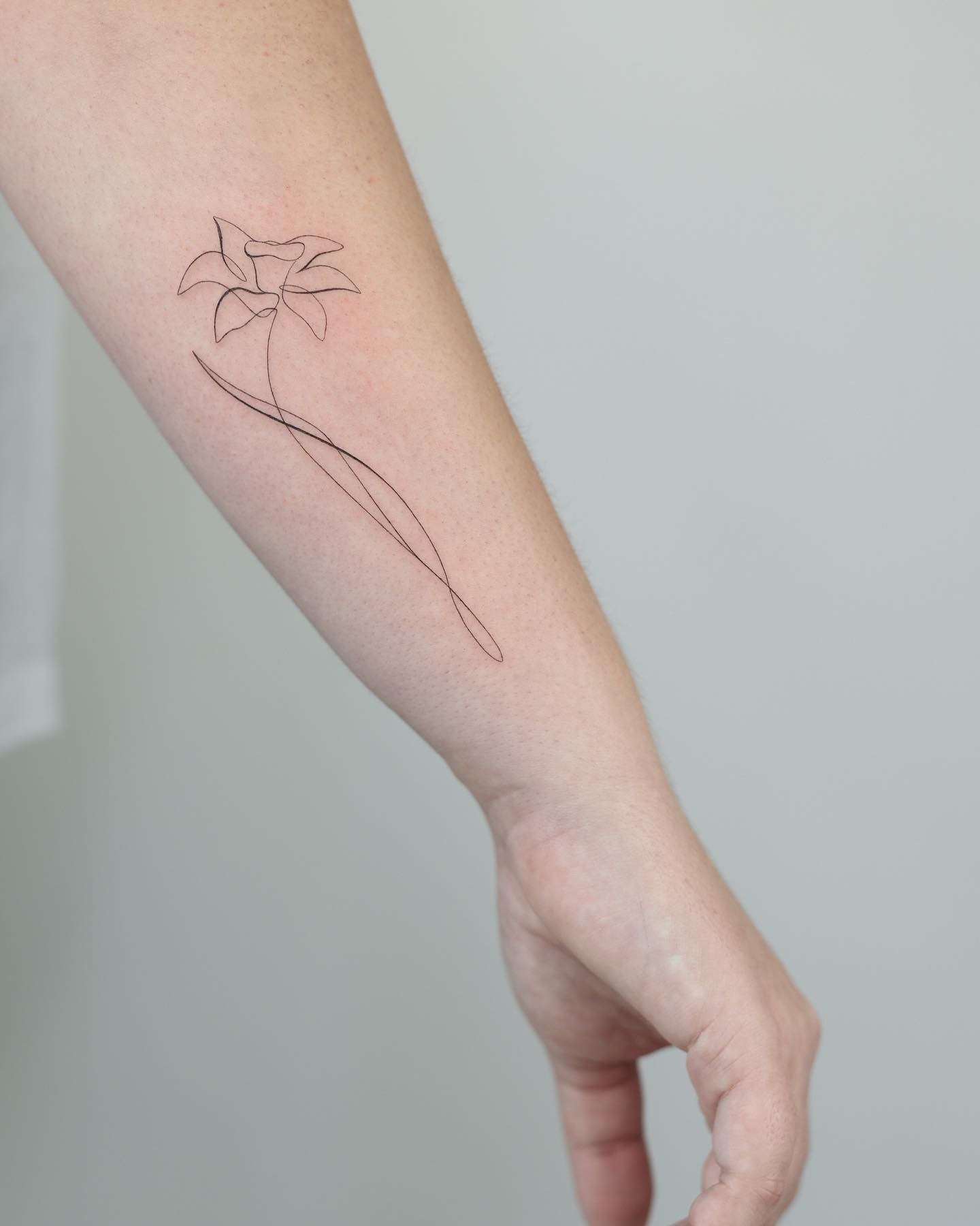 Simple And Minimalist Single Line March Birth Flower Tattoo