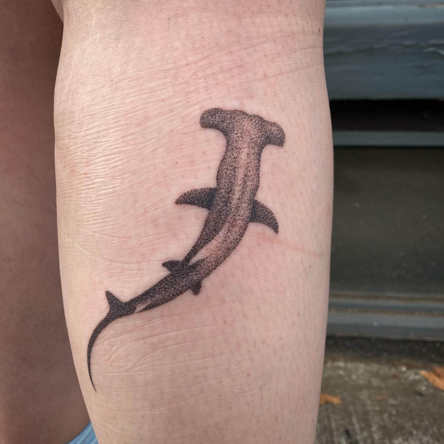 Hammerhead Shark Tattoos