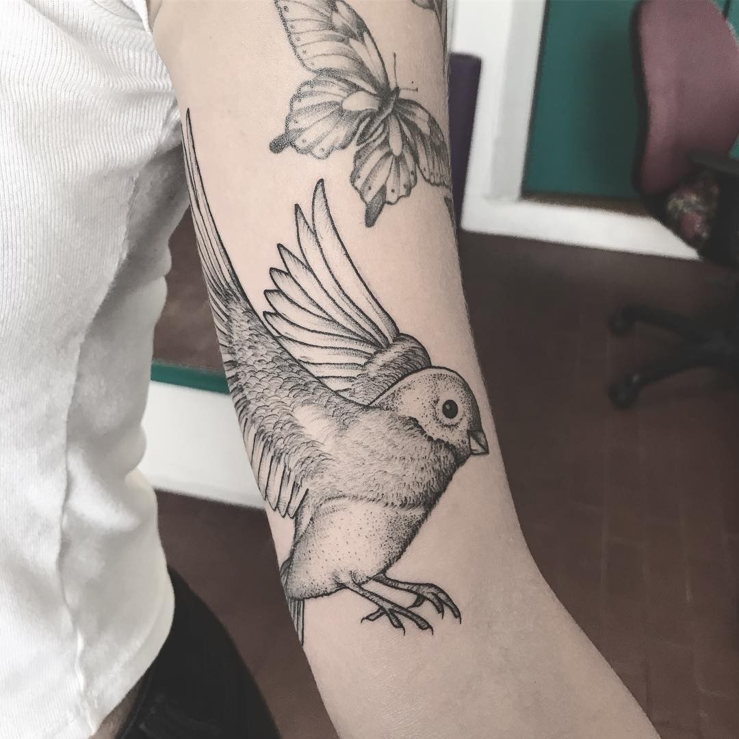 Canary With Butterfly Tattoo