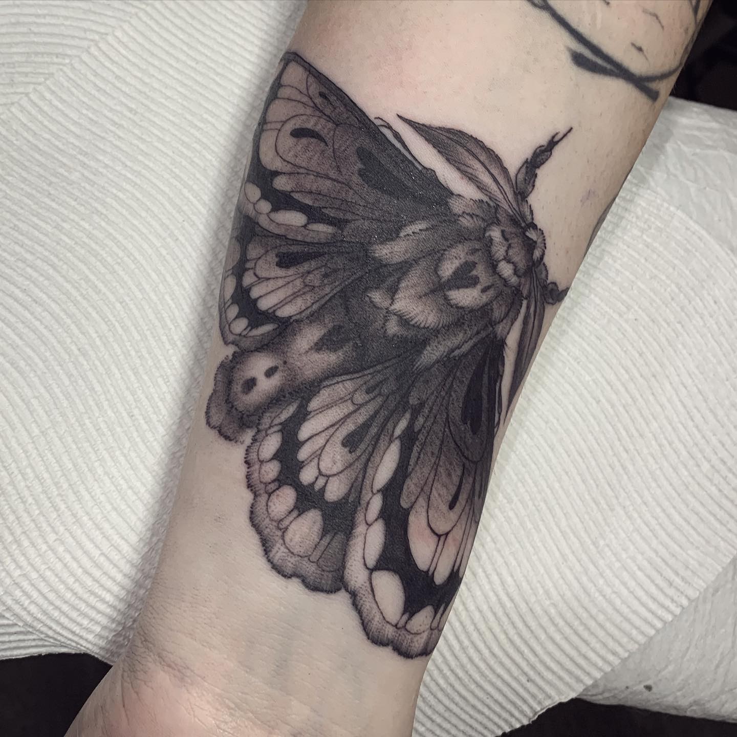 The Realistic Grey Moth Tattoos