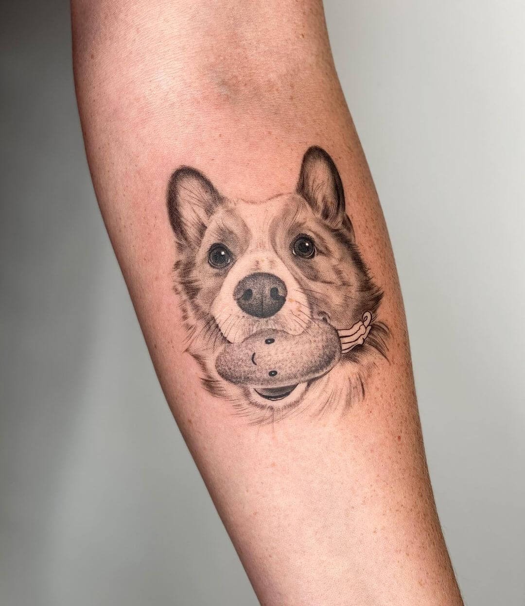 Corgi Tattoo With Toy