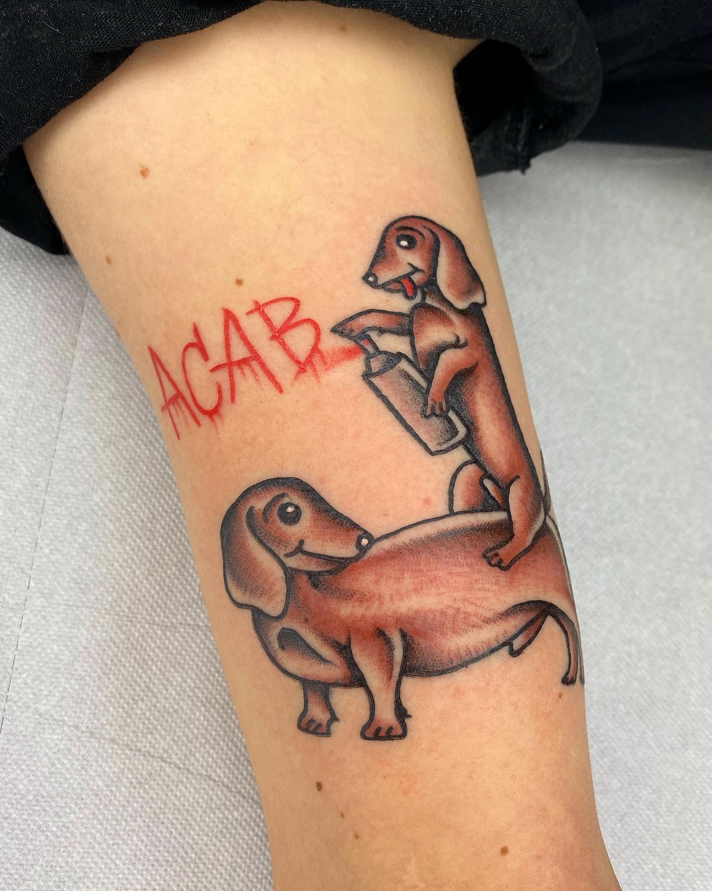 Mischievous Twin Dachshund Dog Tattoo